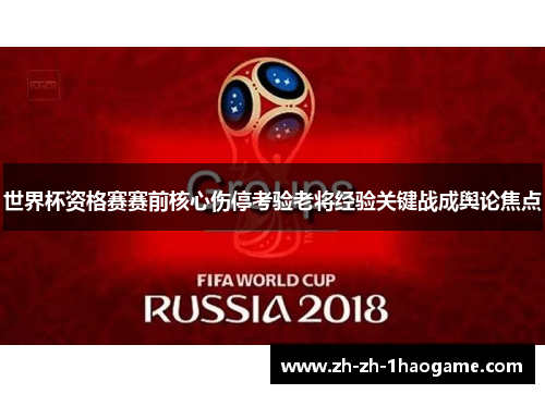 世界杯资格赛赛前核心伤停考验老将经验关键战成舆论焦点